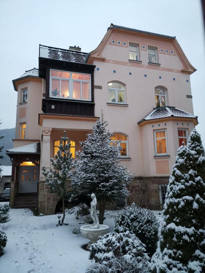 Villa Federer Dolni Zalezly 외부 사진